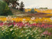 Landschaft von Suvine - Lilly Walther — Ansicht des Kunstwerks