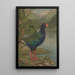 Ohne Titel Takahe - Lily Attey Daff — gerahmtes Bild an der Wand