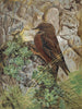 Alpenbraunelle - Léon-Paul Robert — Ansicht des Kunstwerks