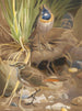 Gorge bleue - Léon-Paul Robert — Ansicht des Kunstwerks