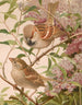 Moineau franc - Léon-Paul Robert — Ansicht des Kunstwerks
