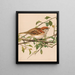 Moineau friquet - Léon-Paul Robert — gerahmtes Bild an der Wand