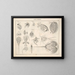 Illustrationen der Allgemeinen Naturgeschichte von Oken für alle Zustände Pl079 - Lorenz Oken — gerahmtes Bild an der Wand