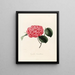 Iconographie du genre Camellia Pl041 - Lorenzo Bartolini — gerahmtes Bild an der Wand