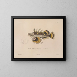 LouisIsidore Duperrey - Voyage autour du monde Pl027.webp