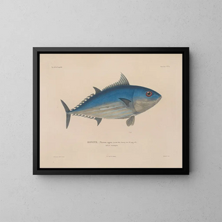 LouisIsidore Duperrey - Voyage autour du monde Pl039.webp