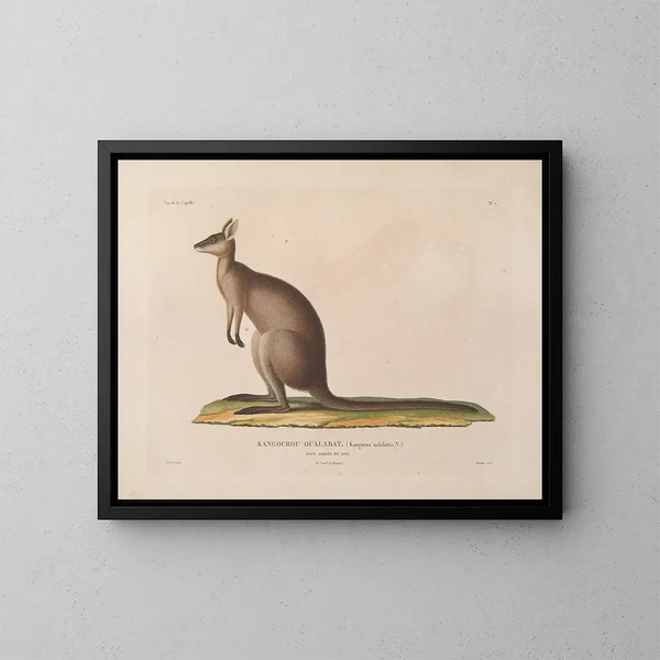 Reise um die Welt - Louis-Isidore Duperrey — gerahmtes Bild an der Wand