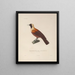 Reise um die Welt Pl131 - Louis-Isidore Duperrey — gerahmtes Bild an der Wand