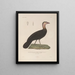 Reise um die Welt Pl144 - Louis-Isidore Duperrey — gerahmtes Bild an der Wand