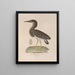 Reise um die Welt Pl150 - Louis-Isidore Duperrey — gerahmtes Bild an der Wand