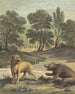 Die Löwin Und Der Bär - Louis-Simon Lempereur — Ansicht des Kunstwerks