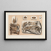 Recherches sur les poissons fossiles Pl041 - Louis Agassiz — gerahmtes Bild an der Wand