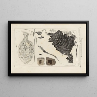 Louis Agassiz - Recherches sur les poissons fossiles Pl160.webp