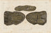 Recherches sur les poissons fossiles, Pl229 - Louis Agassiz — Ansicht des Kunstwerks