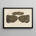 Recherches sur les poissons fossiles, Pl229 - Louis Agassiz — gerahmtes Bild an der Wand
