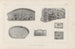Recherches sur les poissons fossiles Pl261 - Louis Agassiz — Ansicht des Kunstwerks