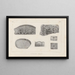 Recherches sur les poissons fossiles Pl261 - Louis Agassiz — gerahmtes Bild an der Wand