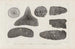 Recherches sur les poissons fossiles Pl265 - Louis Agassiz — Ansicht des Kunstwerks