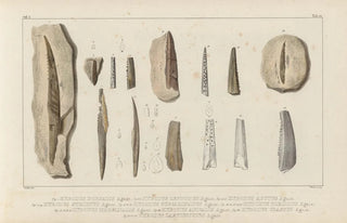 Louis Agassiz - Recherches sur les poissons fossiles Pl285.webp