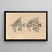 Recherches sur les poissons fossiles Pl342 - Louis Agassiz — gerahmtes Bild an der Wand