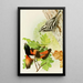 Paruline noir et blanc Paruline flamboyante - Louis Agassiz Fuertes — gerahmtes Bild an der Wand