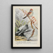 Dotty der Baumammer Slaty der Junco - Louis Agassiz Fuertes — gerahmtes Bild an der Wand