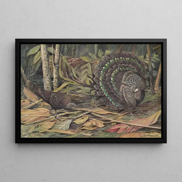 Fasan Pfau von Germain - Louis Agassiz Fuertes — gerahmtes Bild an der Wand