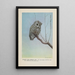 Spooky der kleine Uhu - Louis Agassiz Fuertes — gerahmtes Bild an der Wand