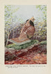 Strutter le Tétras huppé - Louis Agassiz Fuertes — Ansicht des Kunstwerks