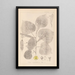 Herbier de la flore française Pl0025 - Louis Antoine Cusin — gerahmtes Bild an der Wand