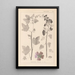 Herbier de la flore française Pl0047 - Louis Antoine Cusin — gerahmtes Bild an der Wand
