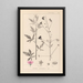 Herbier de la flore française Pl0052 - Louis Antoine Cusin — gerahmtes Bild an der Wand