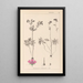 Herbier de la flore française Pl0057 - Louis Antoine Cusin — gerahmtes Bild an der Wand