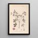 Herbier de la flore française Pl0061 - Louis Antoine Cusin — gerahmtes Bild an der Wand