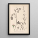 Herbier de la flore française Pl0075 - Louis Antoine Cusin — gerahmtes Bild an der Wand