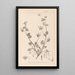 Herbier de la flore française Pl0083 - Louis Antoine Cusin — gerahmtes Bild an der Wand