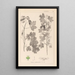Herbier de la flore française Pl0122 - Louis Antoine Cusin — gerahmtes Bild an der Wand