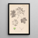 Herbier de la flore française Pl0123 - Louis Antoine Cusin — gerahmtes Bild an der Wand