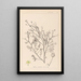 Herbier de la flore française Pl0138 - Louis Antoine Cusin — gerahmtes Bild an der Wand