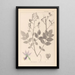 Herbier de la flore française Pl0139 - Louis Antoine Cusin — gerahmtes Bild an der Wand