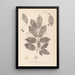 Herbier de la flore française Pl0142 - Louis Antoine Cusin — gerahmtes Bild an der Wand