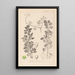 Herbier de la flore française Pl0154 - Louis Antoine Cusin — gerahmtes Bild an der Wand