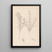 Herbier de la flore française Pl0208 - Louis Antoine Cusin — gerahmtes Bild an der Wand