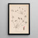 Herbier de la flore française Pl0241 - Louis Antoine Cusin — gerahmtes Bild an der Wand
