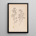 Herbier de la flore française Pl0245 - Louis Antoine Cusin — gerahmtes Bild an der Wand