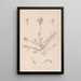 Herbier de la flore française Pl0296 - Louis Antoine Cusin — gerahmtes Bild an der Wand