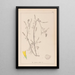 Herbier de la flore française Pl0305 - Louis Antoine Cusin — gerahmtes Bild an der Wand