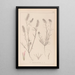 Herbier de la flore française Pl0315 - Louis Antoine Cusin — gerahmtes Bild an der Wand