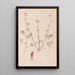 Herbier de la flore française Pl0321 - Louis Antoine Cusin — gerahmtes Bild an der Wand