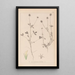 Herbier de la flore française Pl0329 - Louis Antoine Cusin — gerahmtes Bild an der Wand